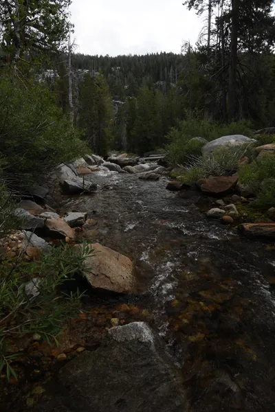 DSC_4384 (Large).JPG